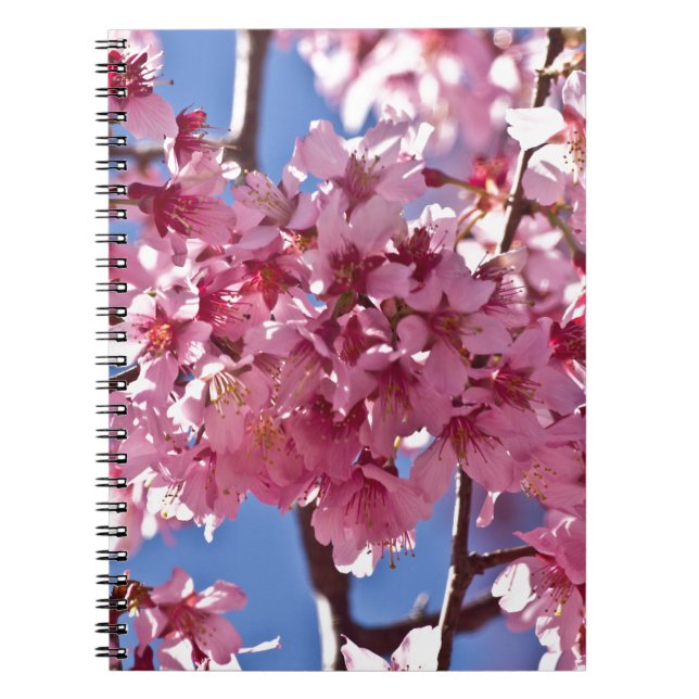 Sakura Cherry Blossoms Red Stars Notebook (Front)