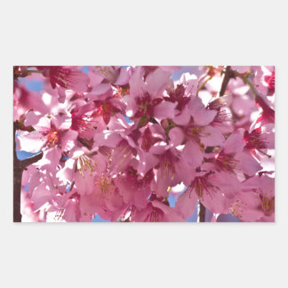 Sakura Cherry Blossoms Red Stars Sticker