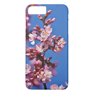Sakura Cherry Blossoms Touching Blue Case-Mate iPhone Case