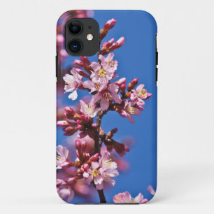 Sakura Cherry Blossoms Touching Blue iPhone 11 Case