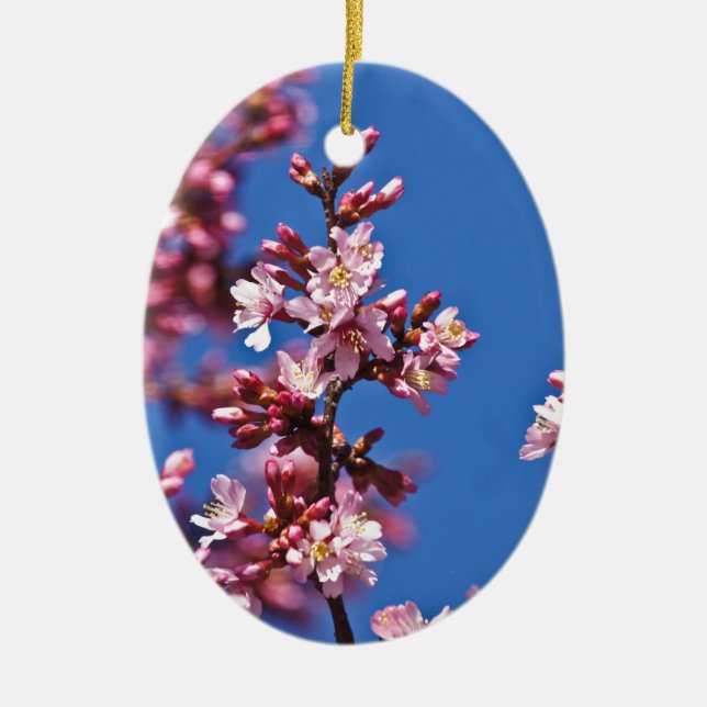 Sakura Cherry Blossoms Touching Blue Ceramic Ornament (Front)