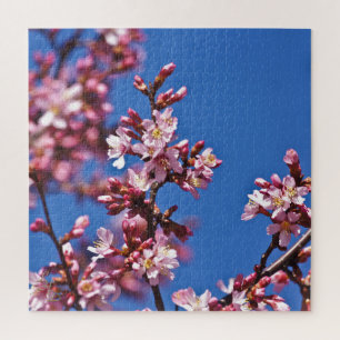 Sakura Cherry Blossoms Touching Blue Jigsaw Puzzle