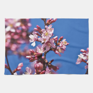 Sakura Cherry Blossoms Touching Blue Kitchen Towel