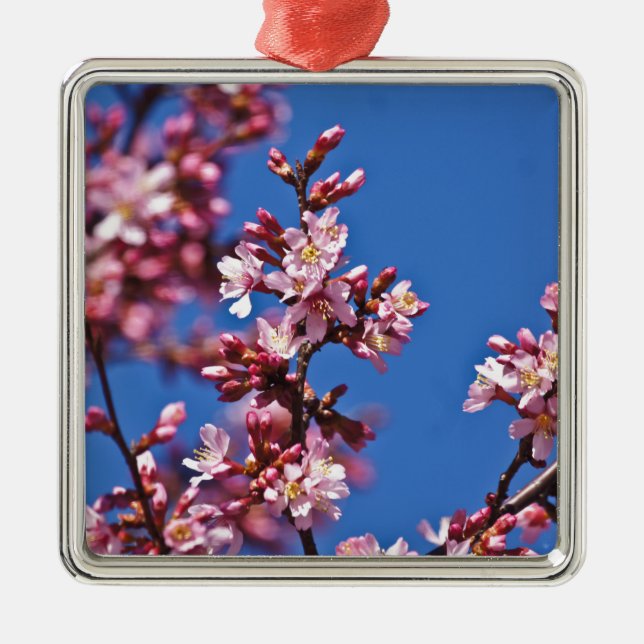 Sakura Cherry Blossoms Touching Blue Metal Ornament (Front)