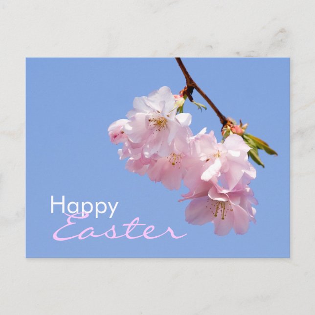 Sakura • Easter Postcard (Front)