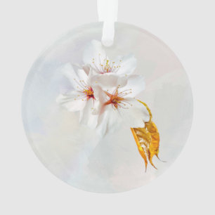Sakura - Fleur de cerisier japonaise