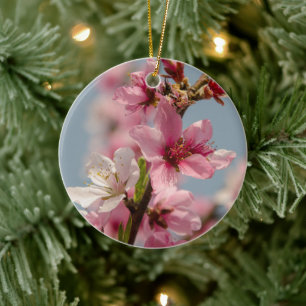 Sakura Flower, Pink Blossoms Against Blue Sky Ceramic Ornament