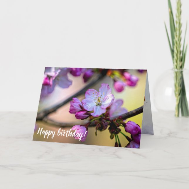 Sakura Flowers And Buds In The Shade Of A Tree Card (Front)