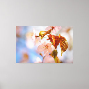 Sakura Flowers And Orange Leaves In Springtime Canvas Print