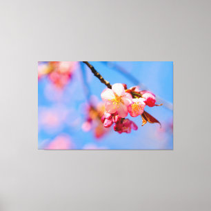 Sakura Flowers, Buds And The Blue Sky Of Spring Canvas Print