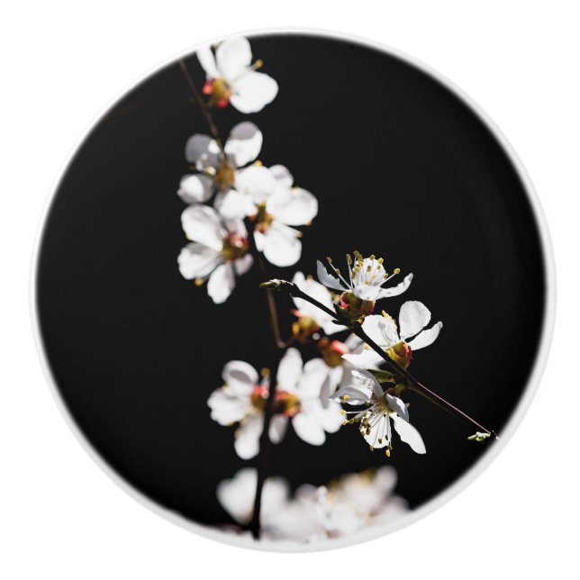 Sakura flowers ceramic knob (Front)
