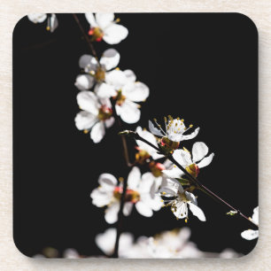 Sakura flowers coaster