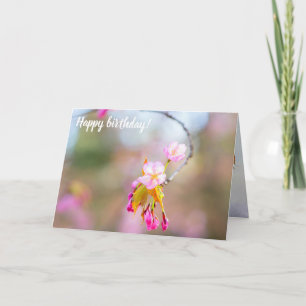 Sakura Flowers On A Tip Of The Twig. Time Helix Card