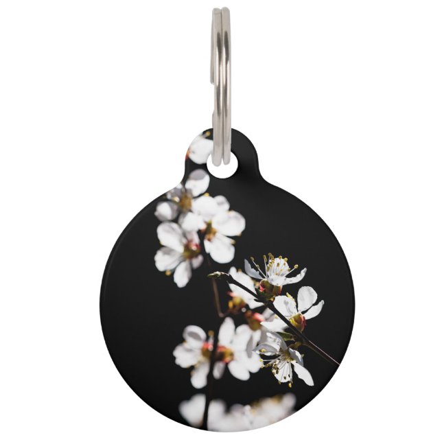 Sakura flowers pet tag (Front)