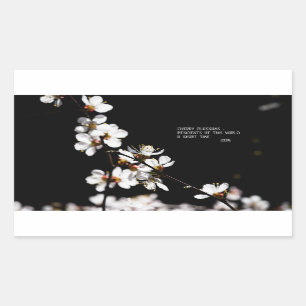 Sakura flowers sticker