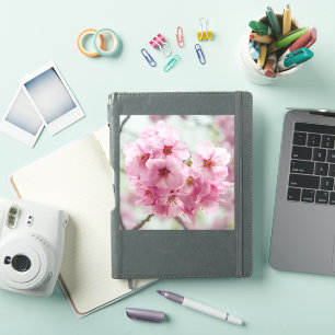 Sakura in Spring – Tokyo Flower