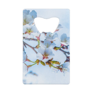 Sakura - Japanese Cherry Blossom Credit Card Bottle Opener