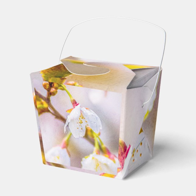 Sakura - Japanese Cherry Blossom Favor Box (Front Side)