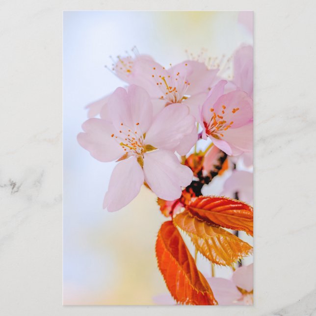 Sakura - Japanese cherry blossom Flyer (Front)