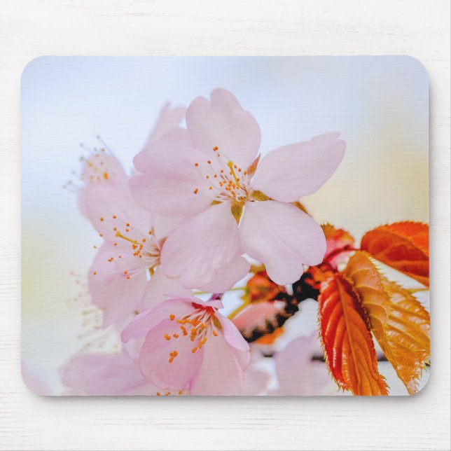 Sakura - Japanese cherry blossom Mouse Pad (Front)