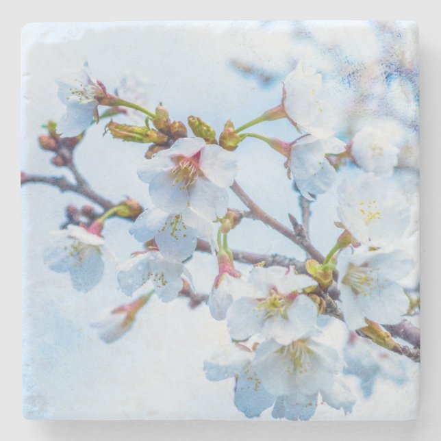 Sakura - Japanese Cherry Blossom Stone Coaster (Front)