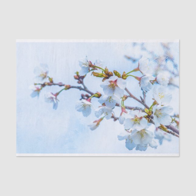 Sakura - Japanese Cherry Blossom Tissue Paper (Front)