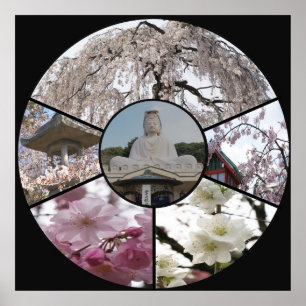 Sakura Meditation_  by Adela Stefanov Poster