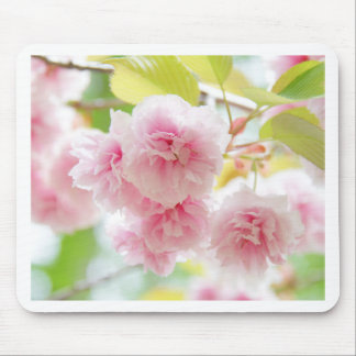 sakura mouse pad