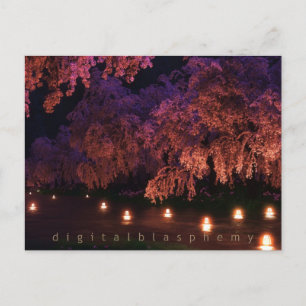 Sakura (Night) Postcard