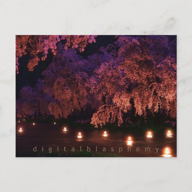Sakura (Night) Postcard (Front)