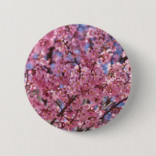 Sakura Pink Cherry Blossom Sky 2 Inch Round Button