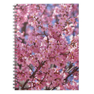 Sakura Pink Cherry Blossom Sky Notebook