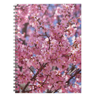Sakura Pink Cherry Blossom Sky Notebook