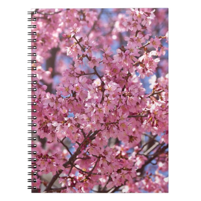 Sakura Pink Cherry Blossom Sky Notebook (Front)