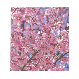 Sakura Pink Cherry Blossom Sky Notepad