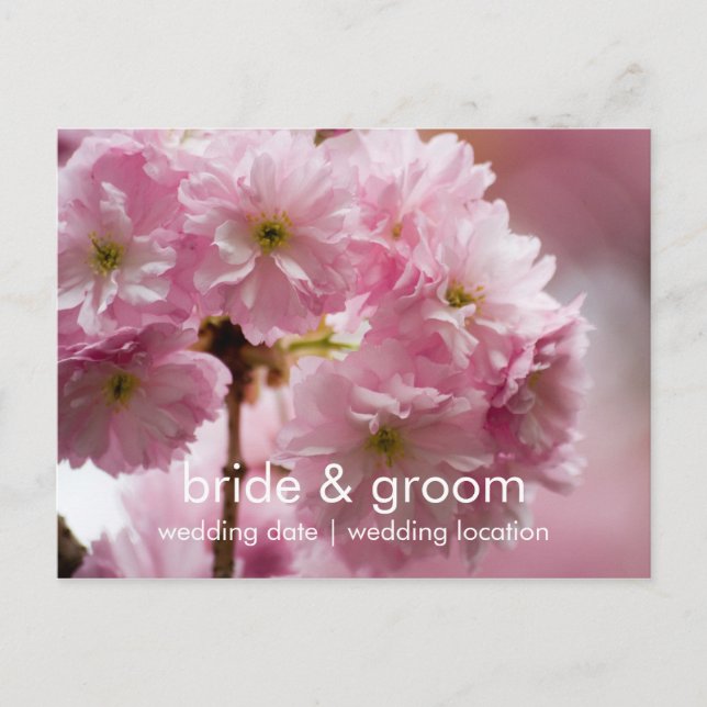 Sakura • Save the Date Postcard (Front)