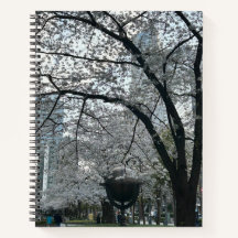 Sakura Season in Shinjuku