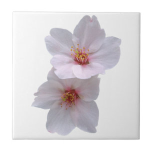 Sakura Tile
