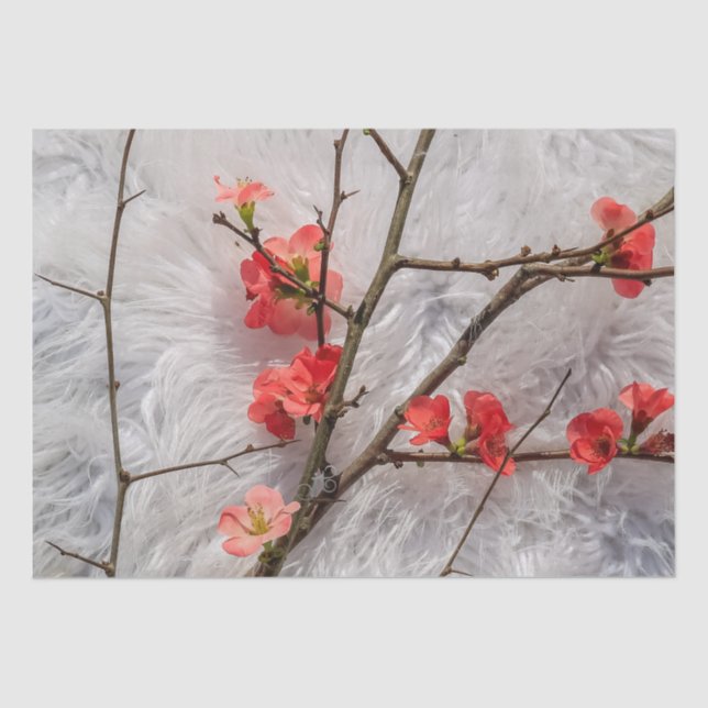 Sakura Tissue Paper (Front)