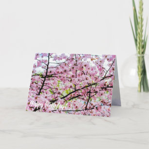 Sakura Tree In Full Pink Bloom In Springtime Card
