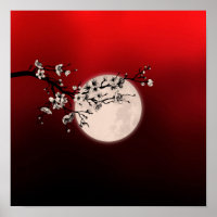 Sakura - white blossom - moon