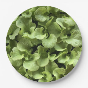 Salad  leaves for Gardener nature food lover.party Paper Plate