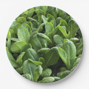 Salad leaves for Gardener nature food lover.party Paper Plate