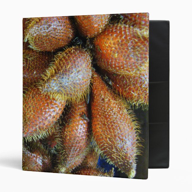 Salak [Snake Fruit] Binder (Front/Inside)