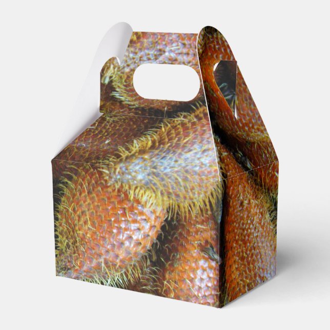 Salak [Snake Fruit] Favor Box (Front Side)