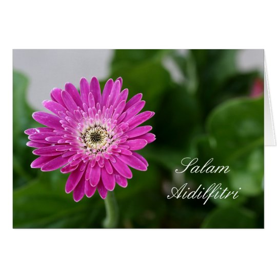 Salam Aidilfitri Card