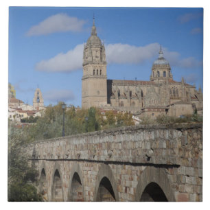 Salamanca Cathedrals, viewed from Puente Romano Tile