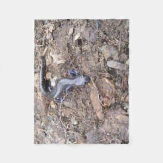 Salamander Fleece Blanket