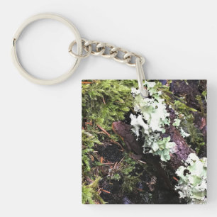Salamander Hiding Under Log, Washington Keychain