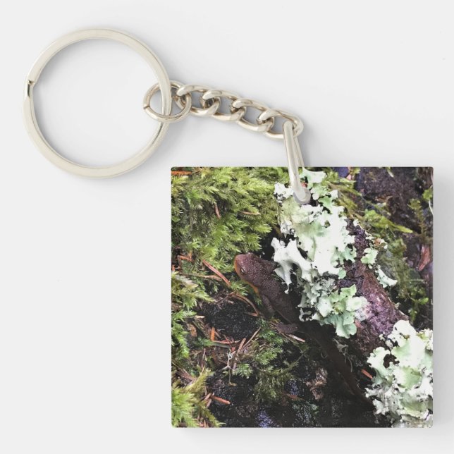 Salamander Hiding Under Log, Washington Keychain (Front)